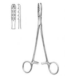 Bircher-Ganske_1388765637