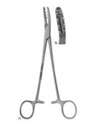 Bircher_Ganske_cvd_1389788715