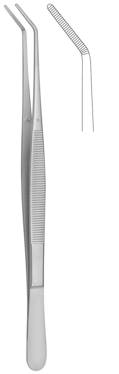 Pinces-a-dissequer-TAYLOR-courbe-17-cm