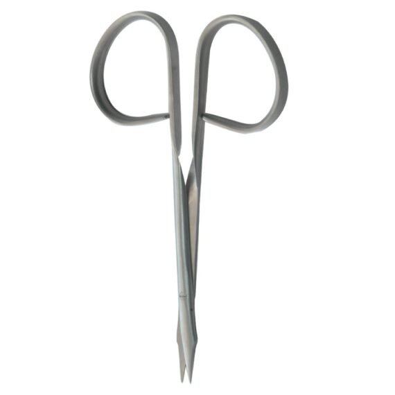 ciseau-ruban-stevens