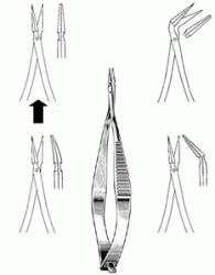 ciseaux-iris-vannas-droits