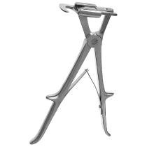 costautome-sauerbruch-1