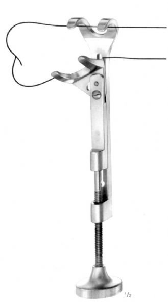 lowman_hoglund_2_1388775195