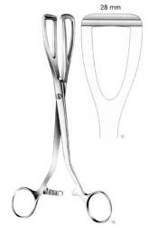 pince-a-saisir-la-prostate-young-20-cm-66-1006-20