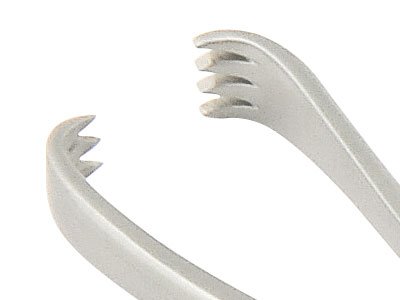 pince-teale-machoire