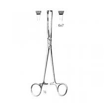 pince-thoms-allis-6x7dents-20cm