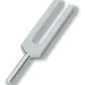 tuning_fork_Hartmann_C1024_1419931907