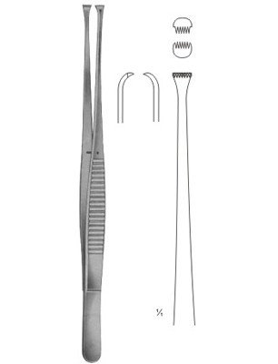 Pince-a-dissequer-NELSON