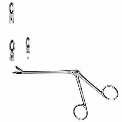 Pince-coupante-Weil--Blakesley-fenetree-droite-avec-cou